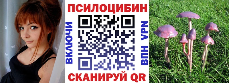 МЕГА tor  купить  цена  Пущино  Галлюциногенные грибы прущие грибы 